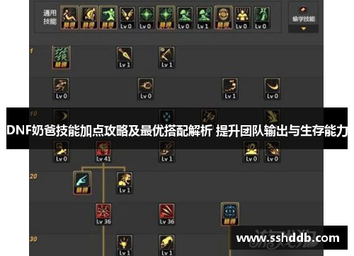 DNF奶爸技能加点攻略及最优搭配解析 提升团队输出与生存能力